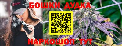 jwh Кингисепп