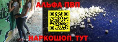 jwh Кингисепп